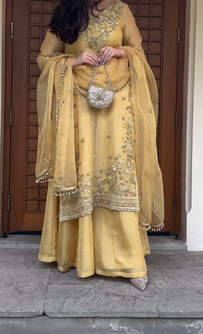 Sunshine Elegance in Organza ☀️